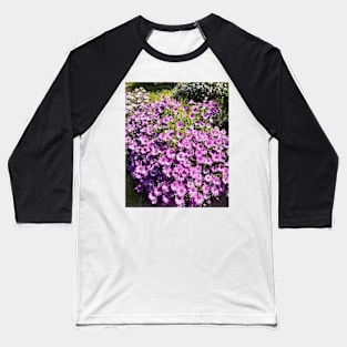 Purple Daisy Daisies Pretty Baseball T-Shirt